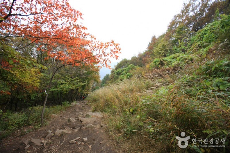 鳴聲山
