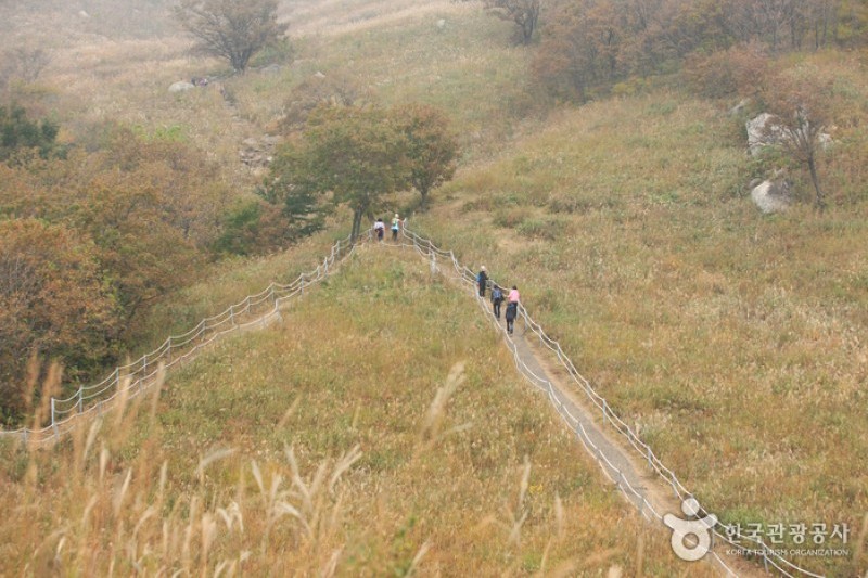 鳴聲山