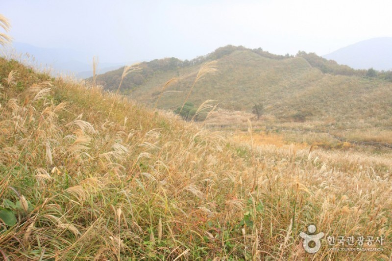 鳴聲山