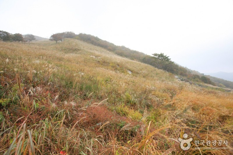 鳴聲山