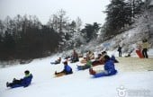 楊平韓華渡假村雪橇場