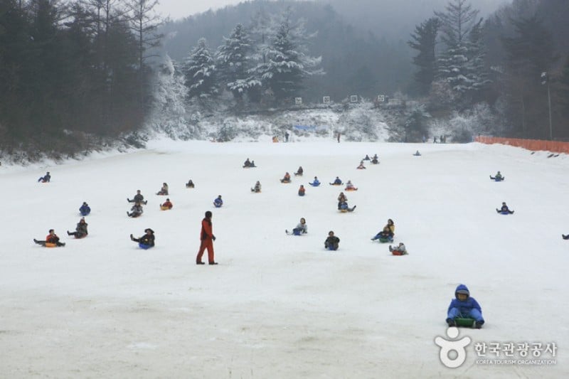 楊平韓華渡假村雪橇場 (1/11)