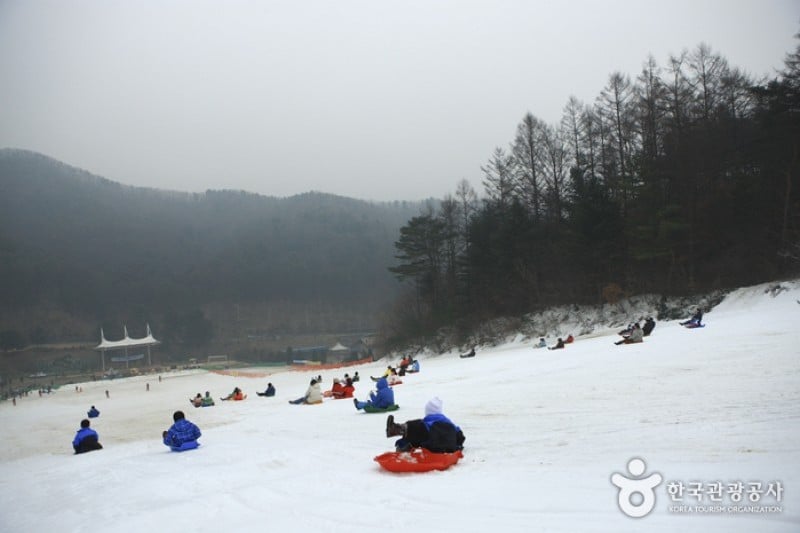 楊平韓華渡假村雪橇場 (2/11)