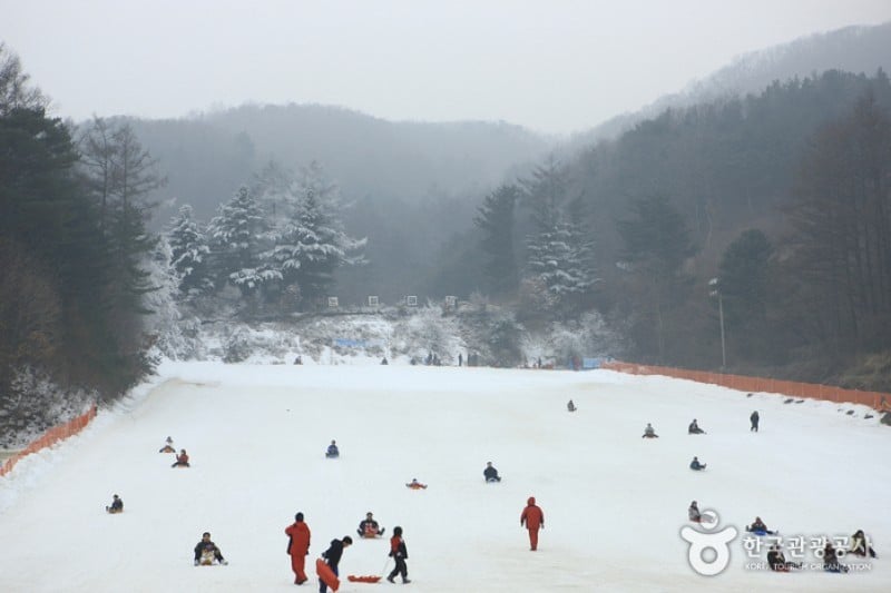 楊平韓華渡假村雪橇場 (5/11)