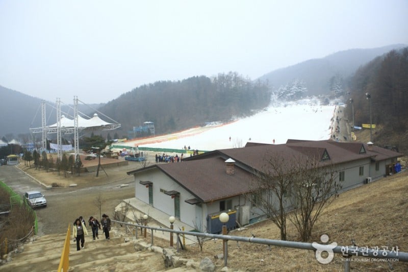 楊平韓華渡假村雪橇場 (6/11)