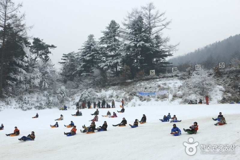 楊平韓華渡假村雪橇場 (8/11)