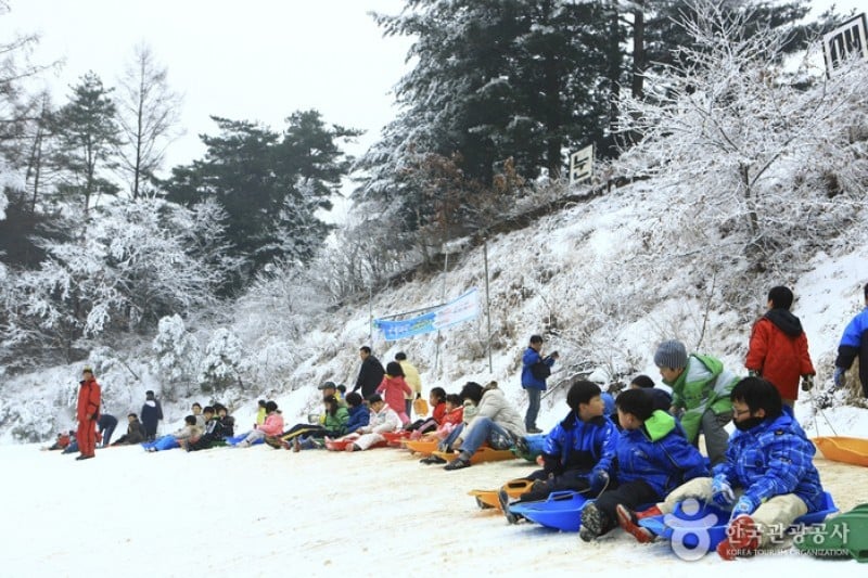 楊平韓華渡假村雪橇場 (11/11)