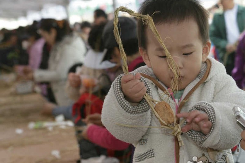 坡州大豆節