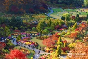 晨靜樹木園 優惠券