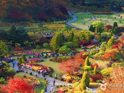 晨靜樹木園