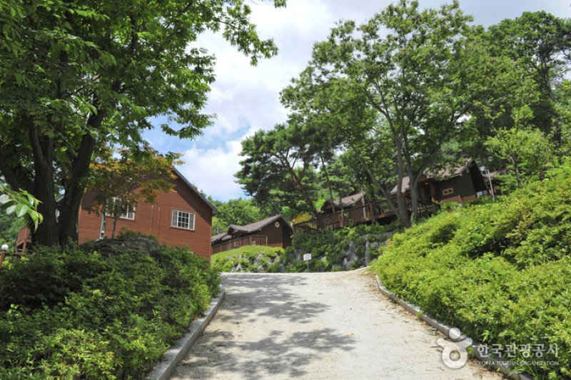 龍門山自然休養林 (1/6)