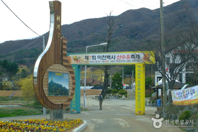 利川山茱萸村(이천 산수유마을) (1/7)