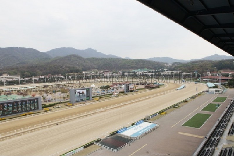 首爾Let's Run Park (1/10)