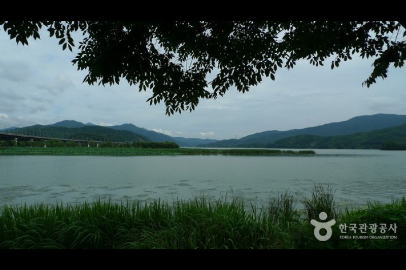 楊平兩水頭 (12/42)