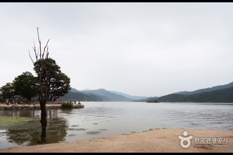 楊平兩水頭 (39/42)