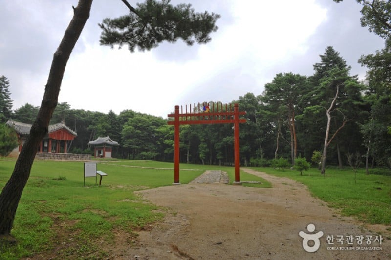 坡州三陵 [UNESCO世界文化遺產] (5/20)