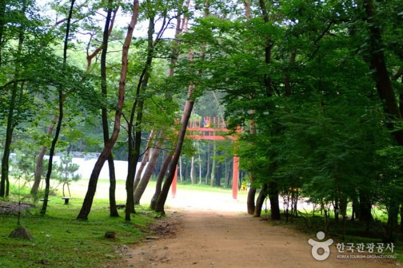 坡州三陵 [UNESCO世界文化遺產] (14/20)