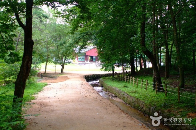 坡州三陵 [UNESCO世界文化遺產] (18/20)