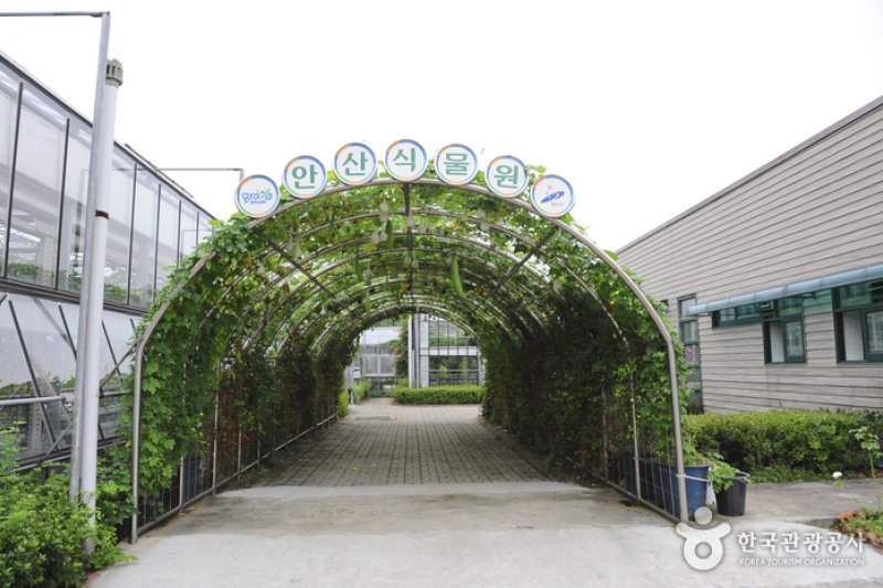 安山植物園