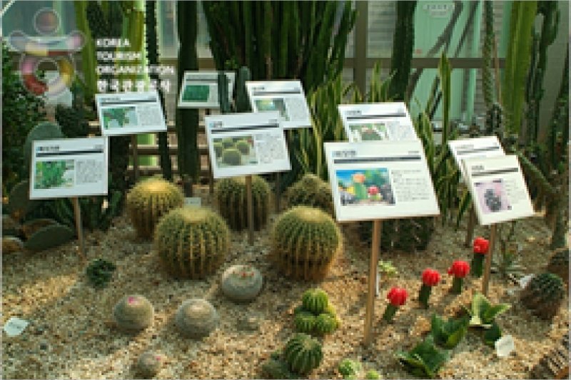 安山植物園