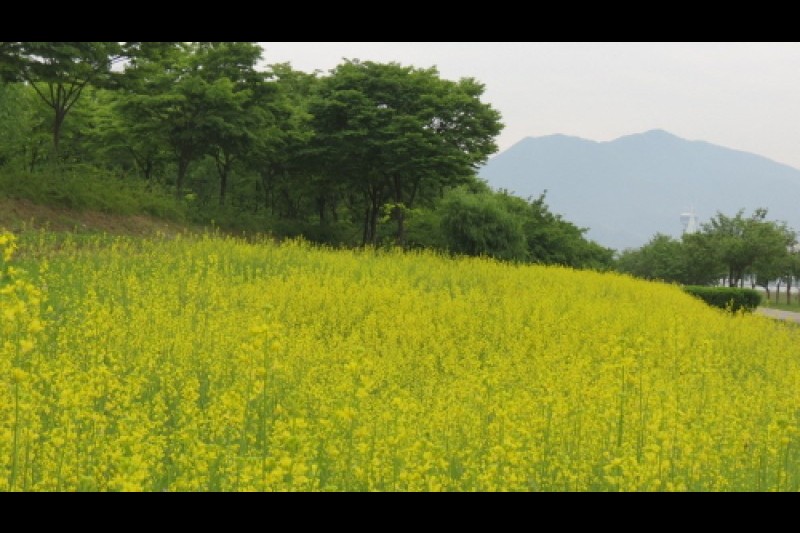 渼沙里競艇公園