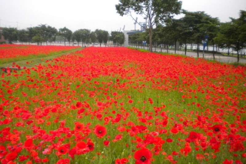 渼沙里競艇公園