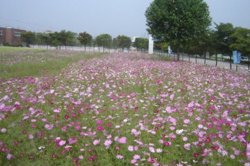 渼沙里競艇公園