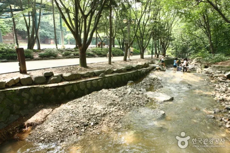 首爾大公園 自然露營場 (2/13)