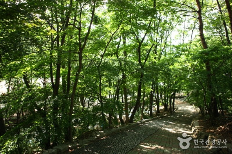 首爾大公園 自然露營場 (13/13)