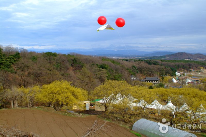 利川山茱萸村(이천 산수유마을) (2/7)
