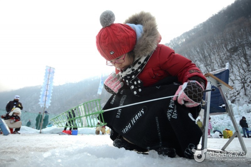 清平雪花鱒魚節