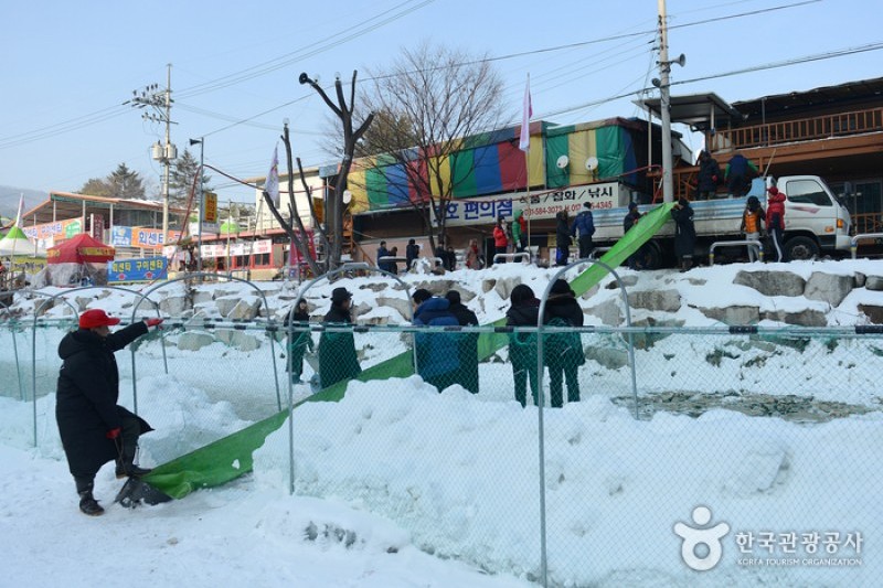 清平雪花鱒魚節
