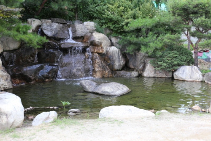 加平二和園蝴蝶小故事