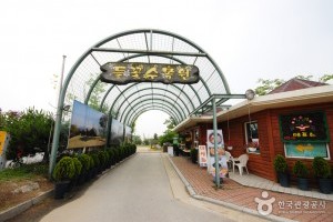 楊平野花樹木園