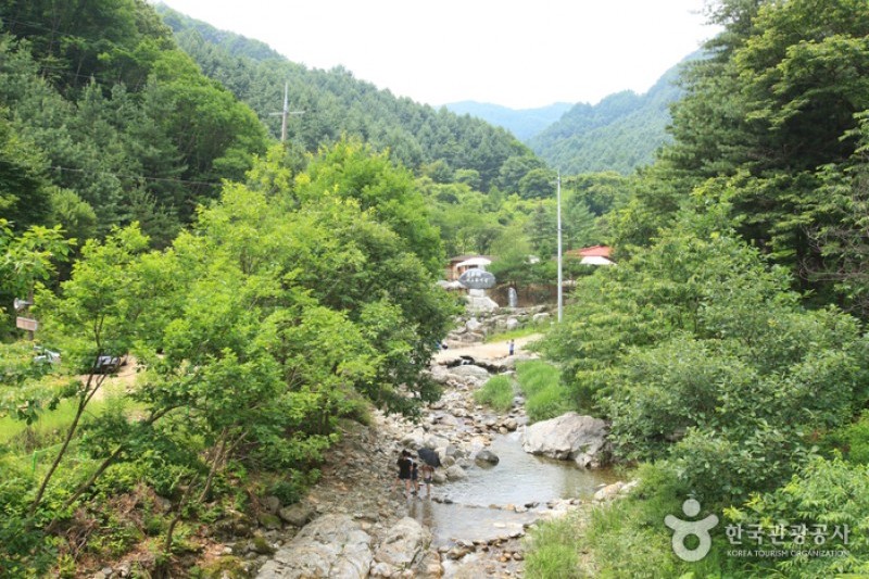 刀鋒山自然休養林 (6/13)