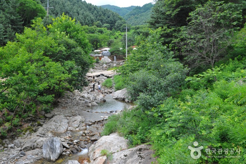 刀鋒山自然休養林 (8/13)
