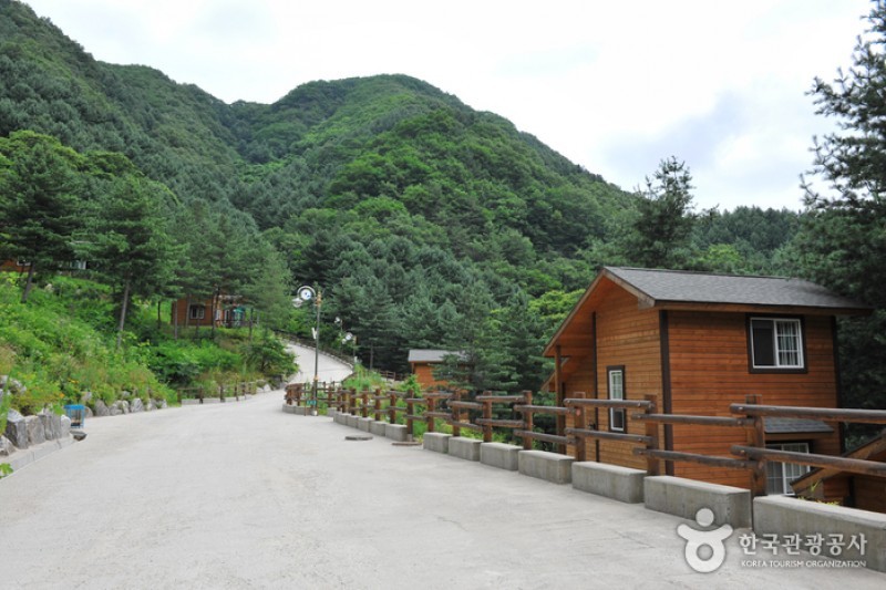 刀鋒山自然休養林 (9/13)