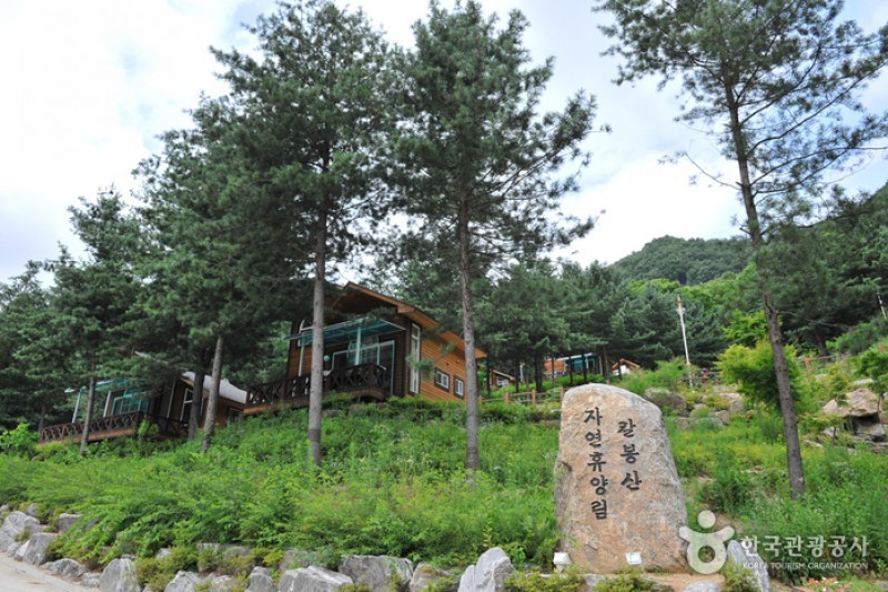刀鋒山自然休養林 (13/13)