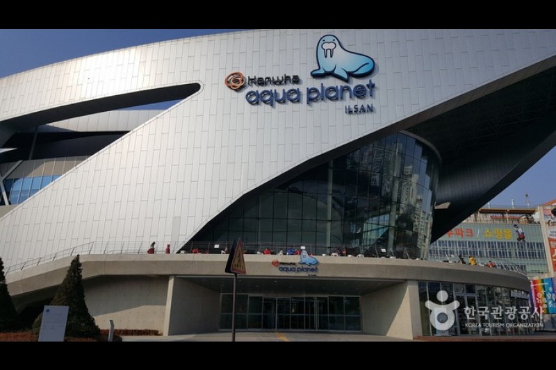 Aqua Planet海洋世界一山店  (2/5)
