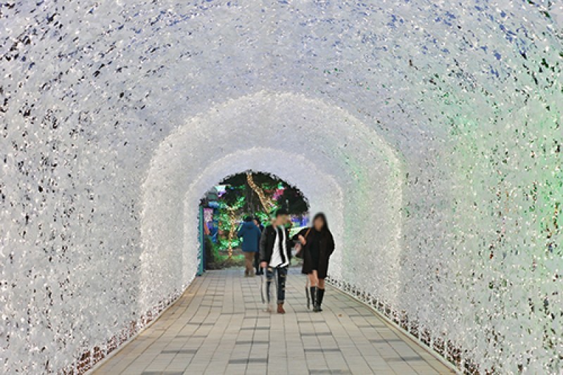 安山星光村Photo land燈節 (4/5)