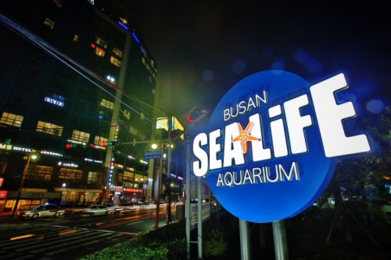 釜山水族館 (1/7)