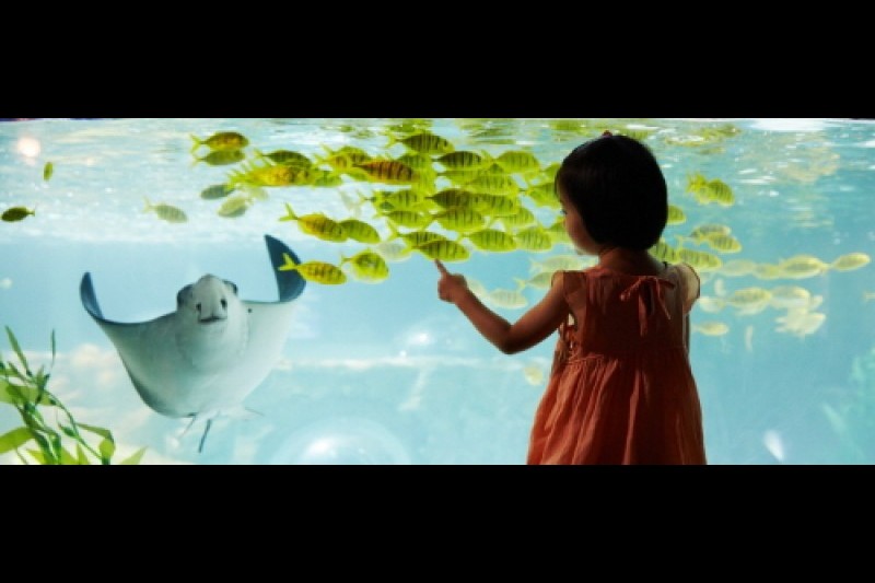 釜山水族館 (2/7)