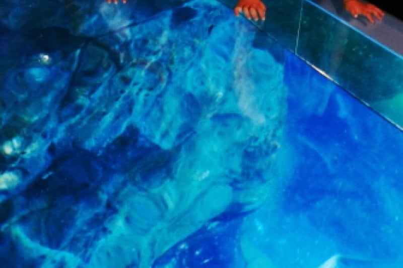 釜山水族館 (3/7)