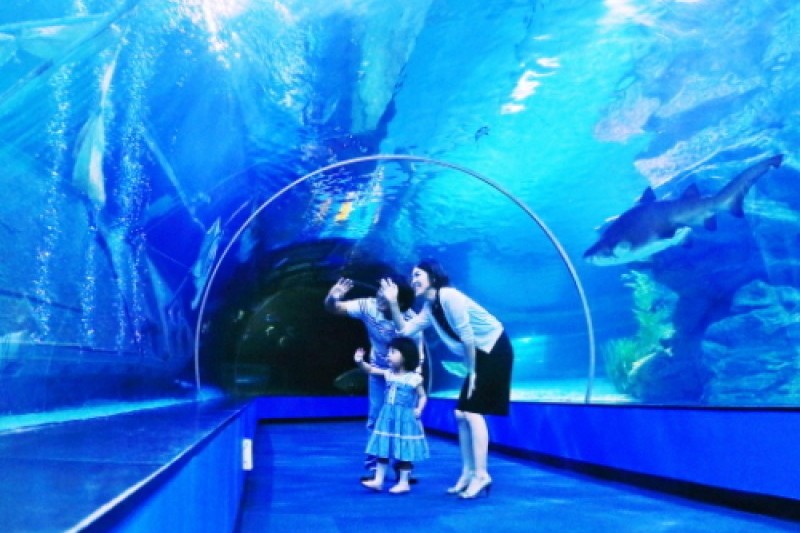 釜山水族館 (5/7)