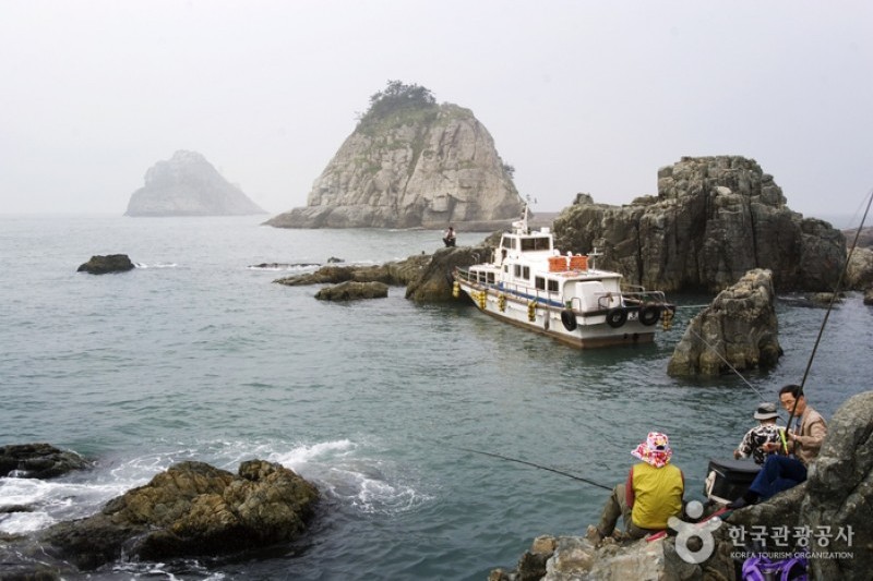 釜山五六島 (1/11)