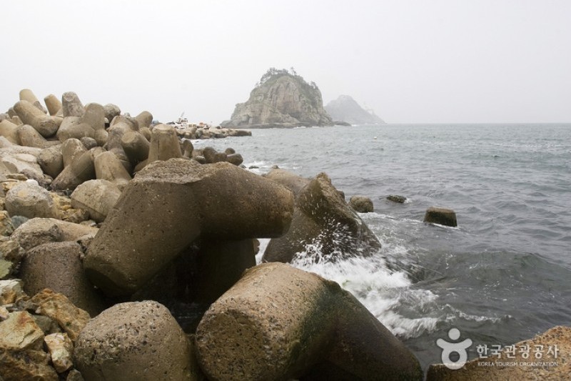 釜山五六島 (5/11)