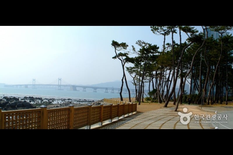 Nurimaru APEC House (1/6)