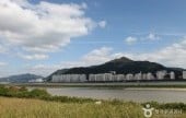 洛東江下游候鳥棲息地