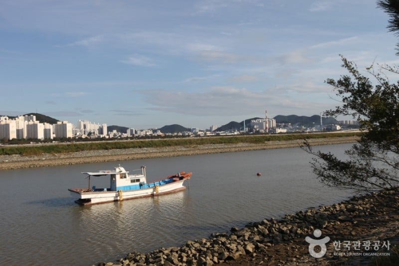 洛東江下游候鳥棲息地 (3/8)