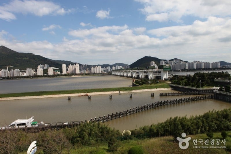 洛東江下游候鳥棲息地 (4/8)